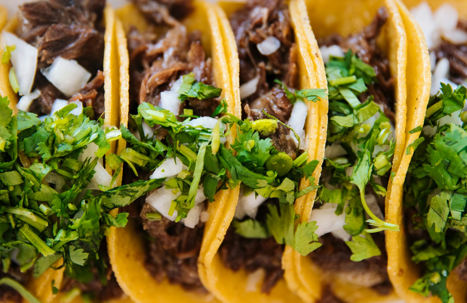 Birria tacos topped with onion and cilantro